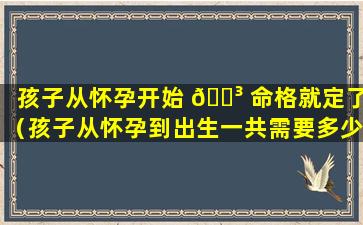 孩子从怀孕开始 🐳 命格就定了（孩子从怀孕到出生一共需要多少天）